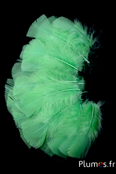 Dinde - 6-8 cm - vert citron